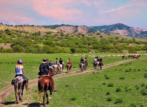 Svaneti Horseback Riding Tour Through Alpine Meadows