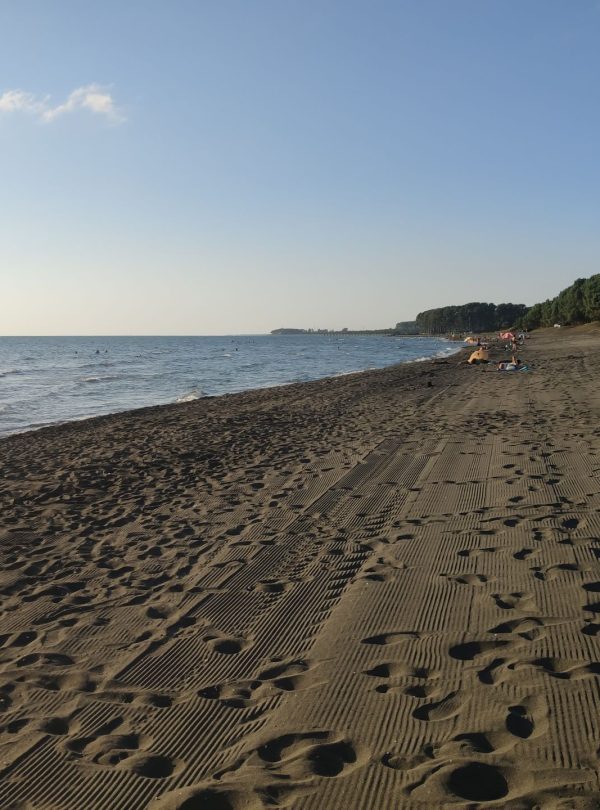 Ureki Magnetic Black Sand Beach