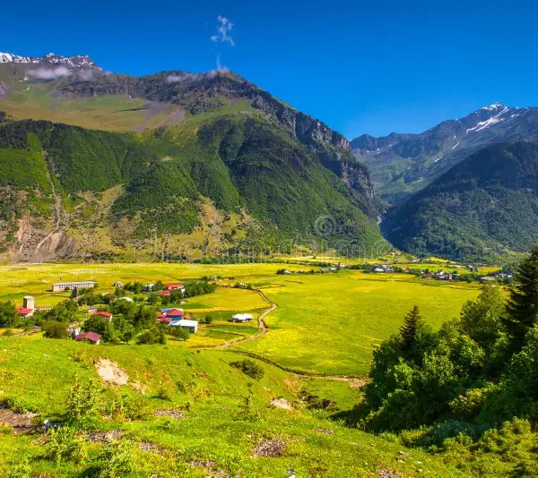 alpine meadows