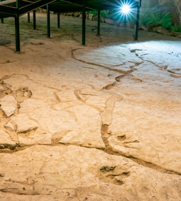 Close up of dinosaur footprints in Sataplia nature reserve.