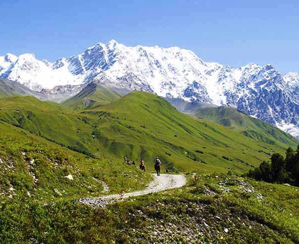 Glacier Shkhara and the Inguri River Valley, Svaneti, Georgia